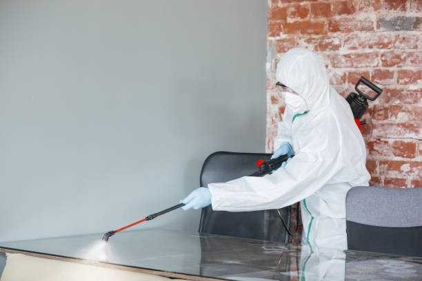 Best Water Damage & Mold Remediation  in Sistersville, WV