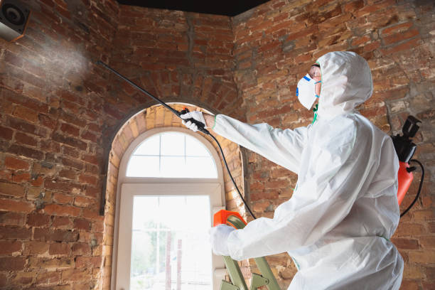 Best Mold Odor Removal Services  in Sistersville, WV