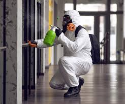  Sistersville, WV Mold Removal & Remediation Pros